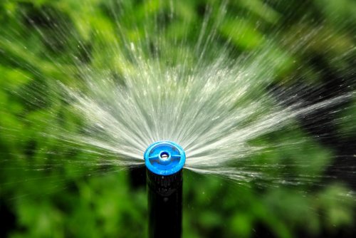Irrigation Memphr est une quipe de professionnels en systmes d'irrigation automatique rsidentiels et commerciaux