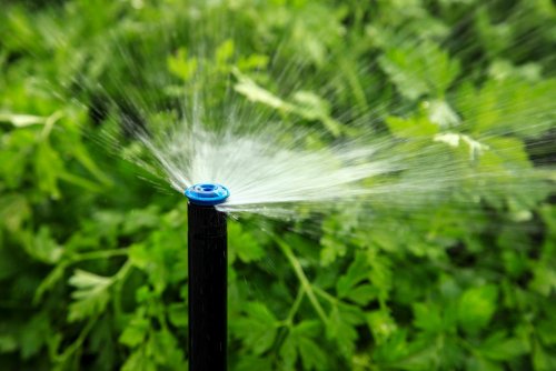 Irrigation Memphr est une quipe de professionnels en systmes d'irrigation automatique rsidentiels et commerciaux